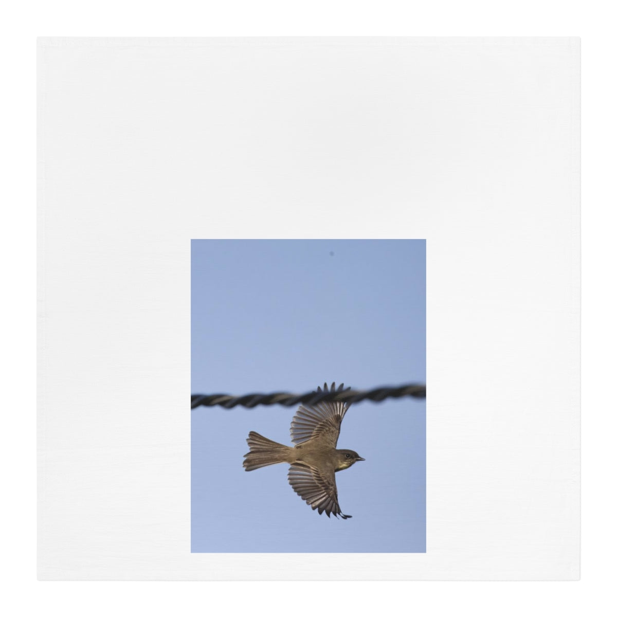 Spread Your Wings Kitchen/Tea Towel