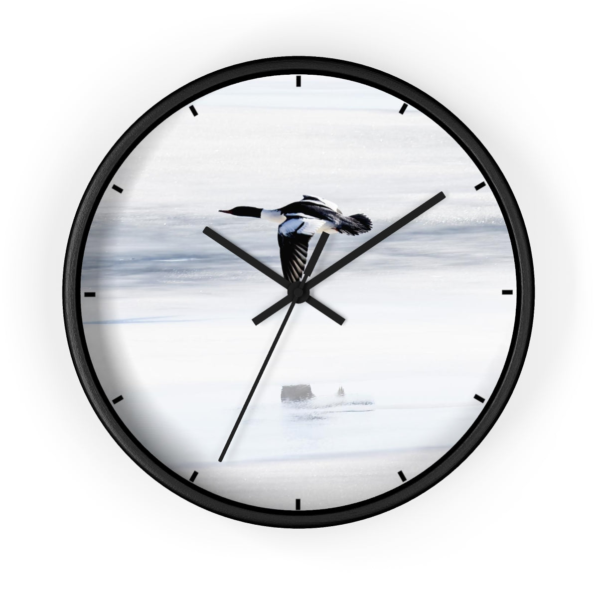 Merganser on Ice Wall clock