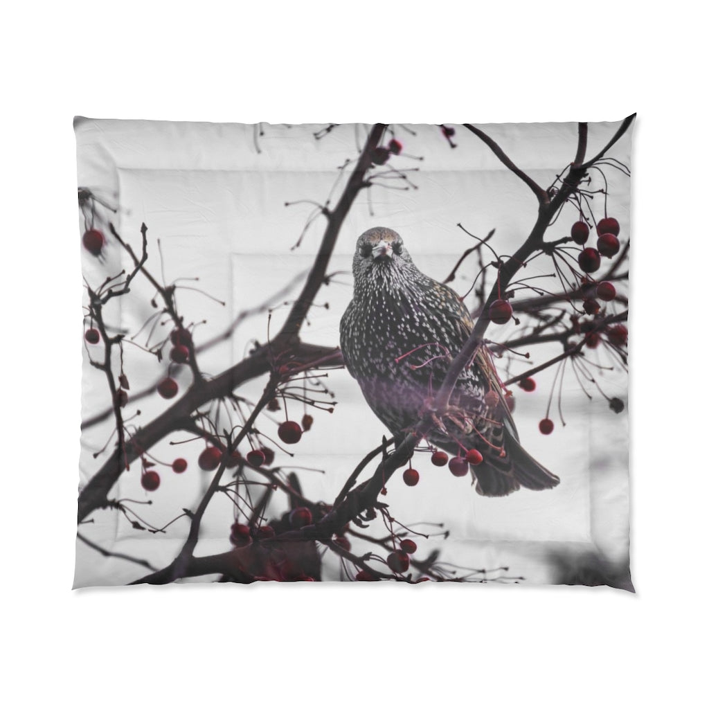 Startling Starling Comforter
