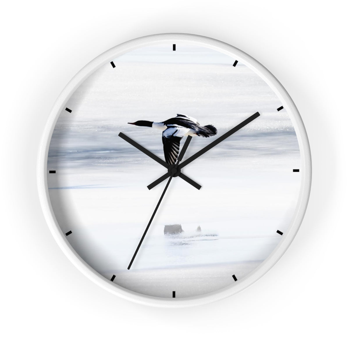 Merganser on Ice Wall clock