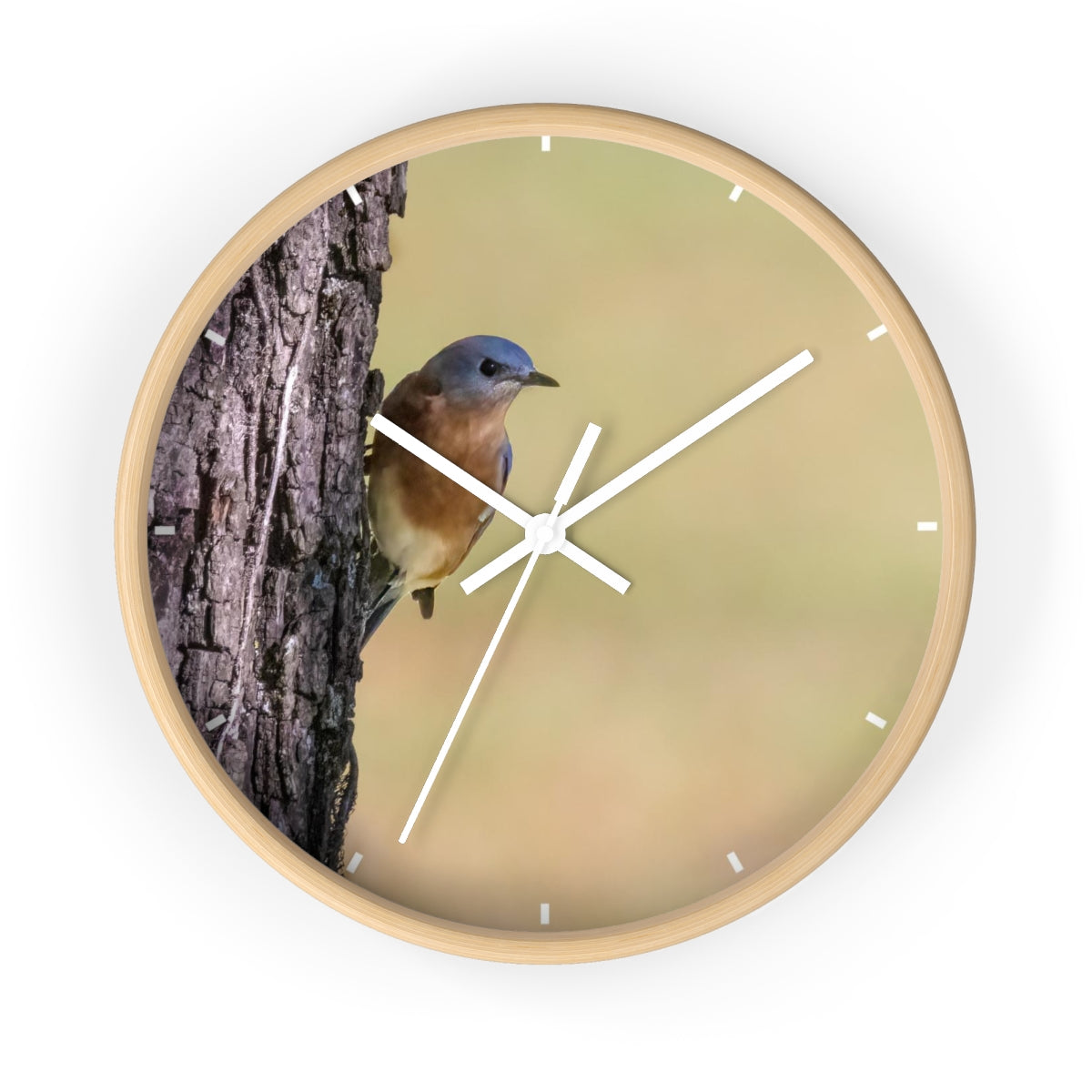 Bluebird of Happiness Wall clock