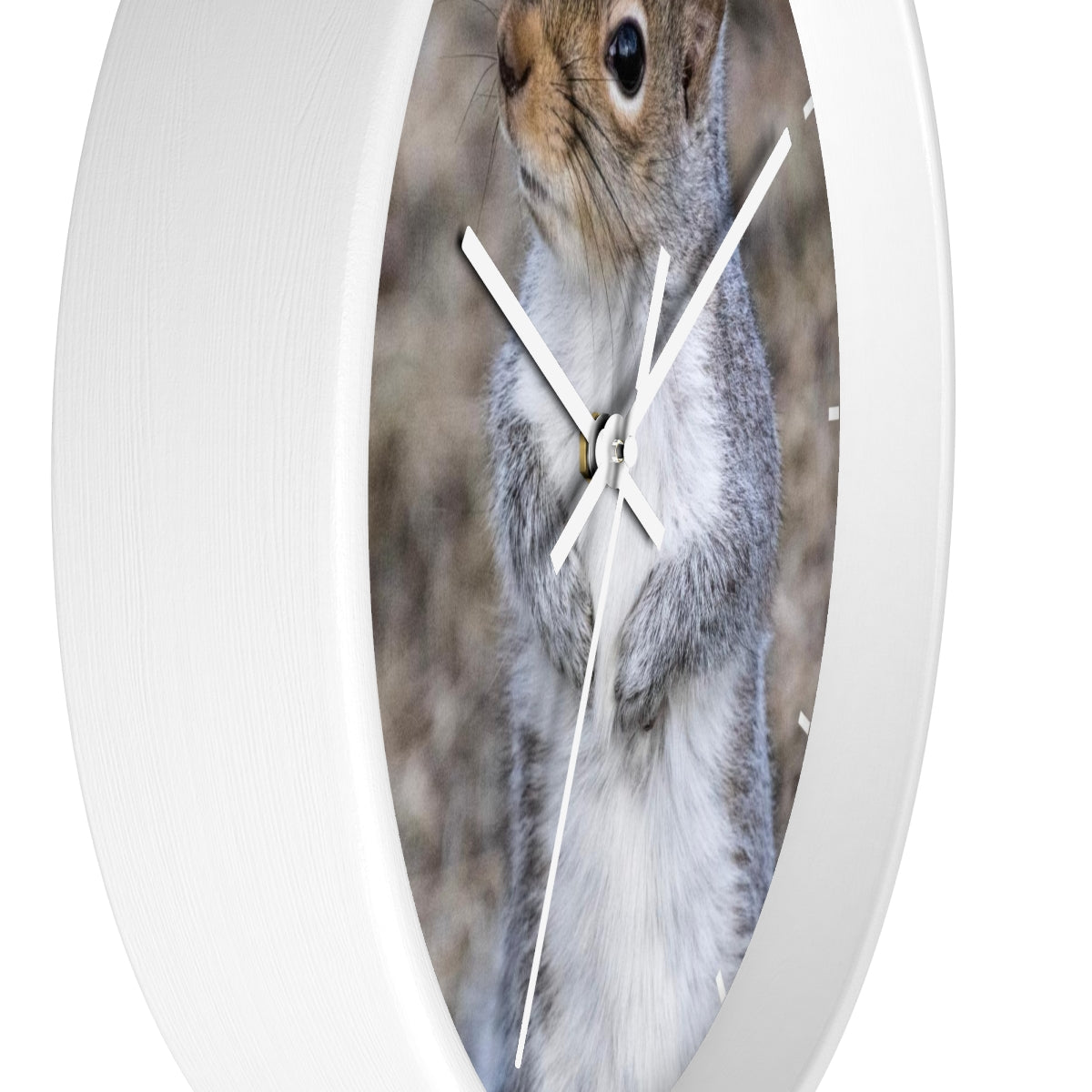 Squirrel Wall clock