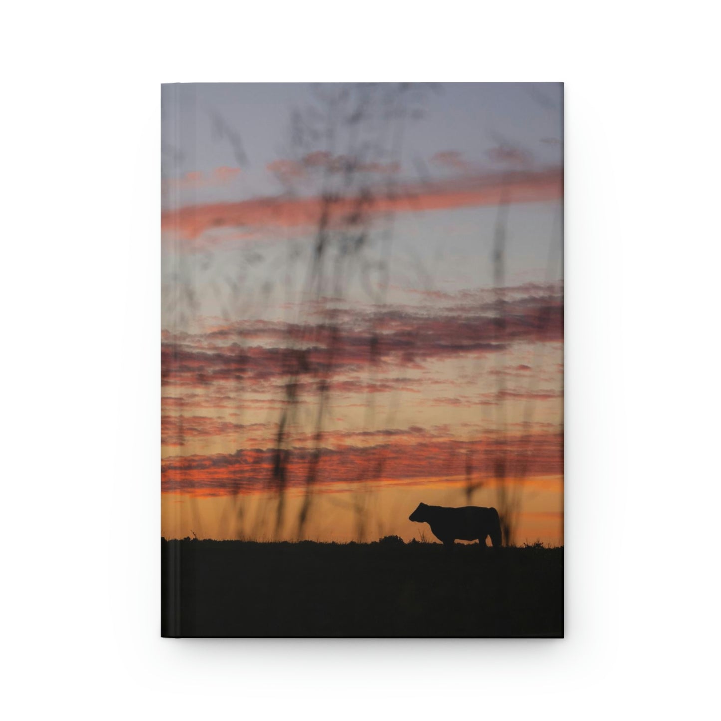 Cow Enjoying the Sunset Hardcover Journal Matte