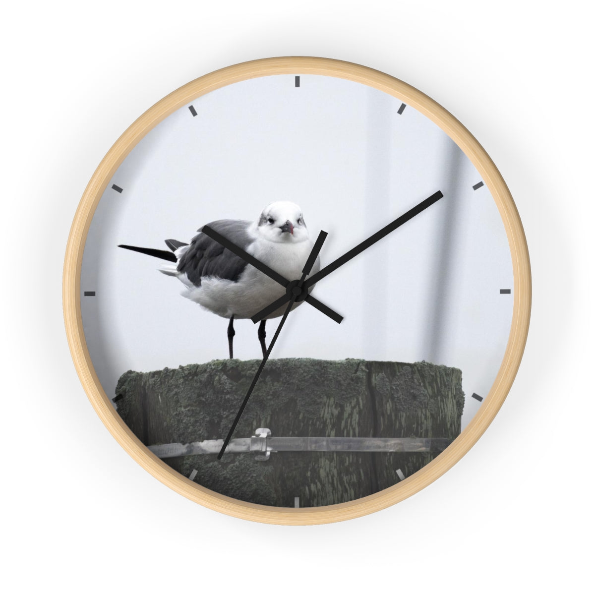Gull on a Piling Wall clock