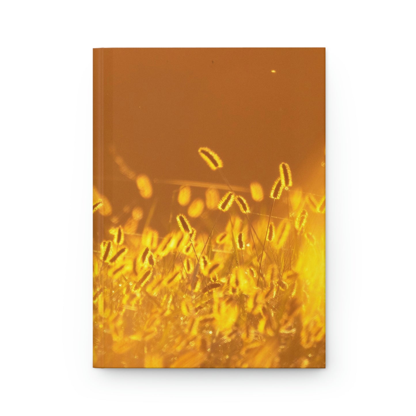 Sunlit Field Hardcover Journal Matte