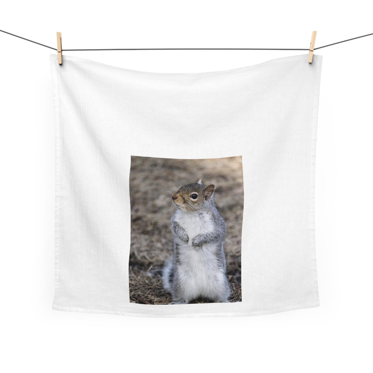 Squirrel! Kitchen/Tea Towel