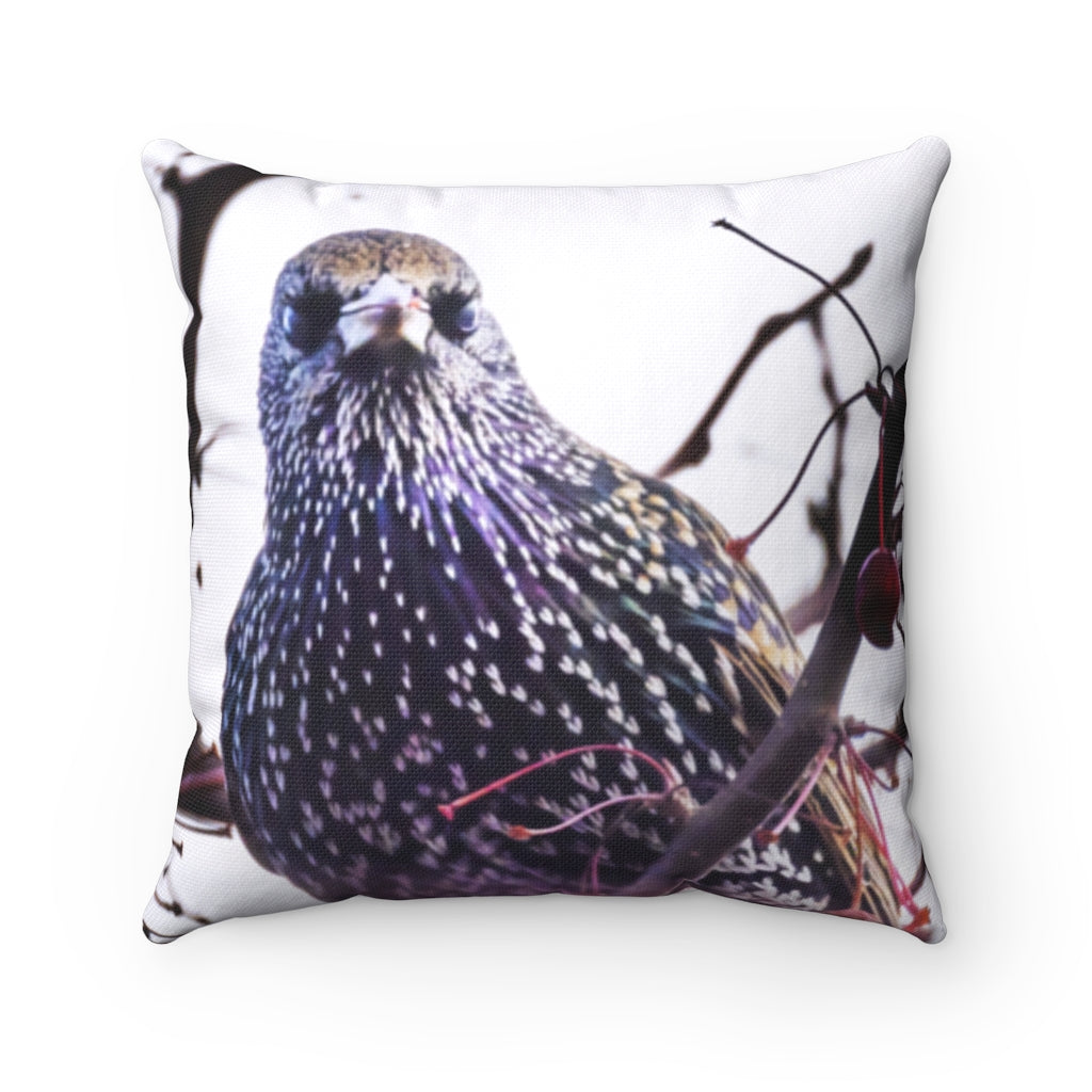 Startling Starling Throw Pillow