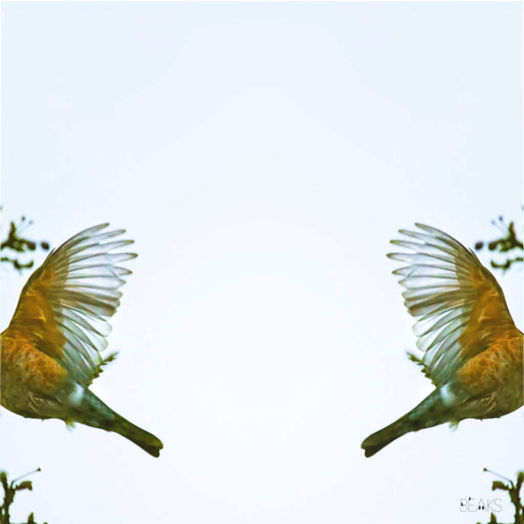 Robin Retreat Duvet Cover