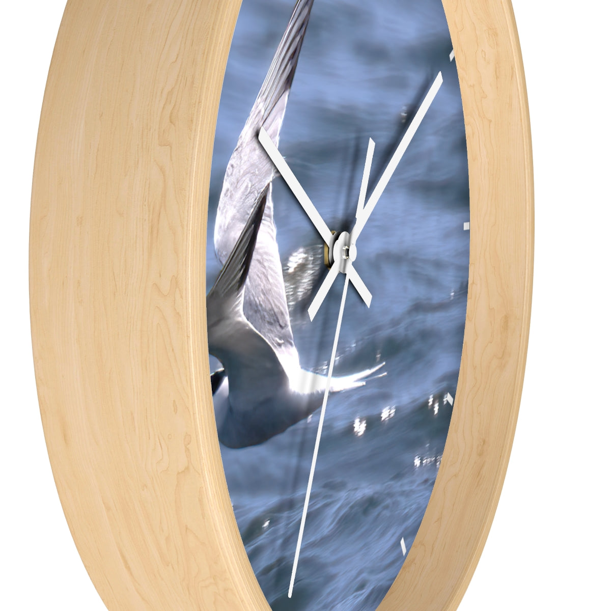 Tern with Lunch-in-Beak Wall clock