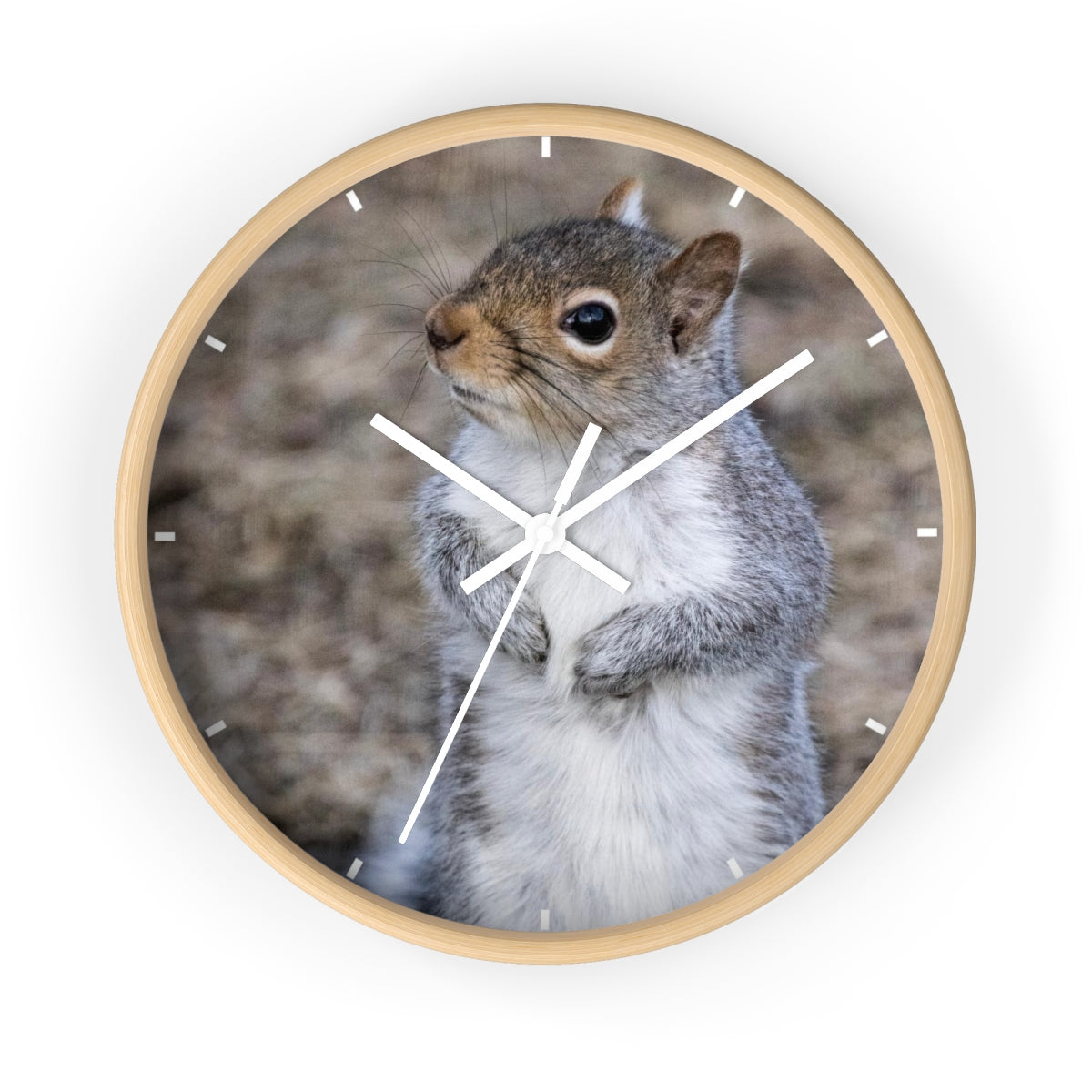 Squirrel Wall clock