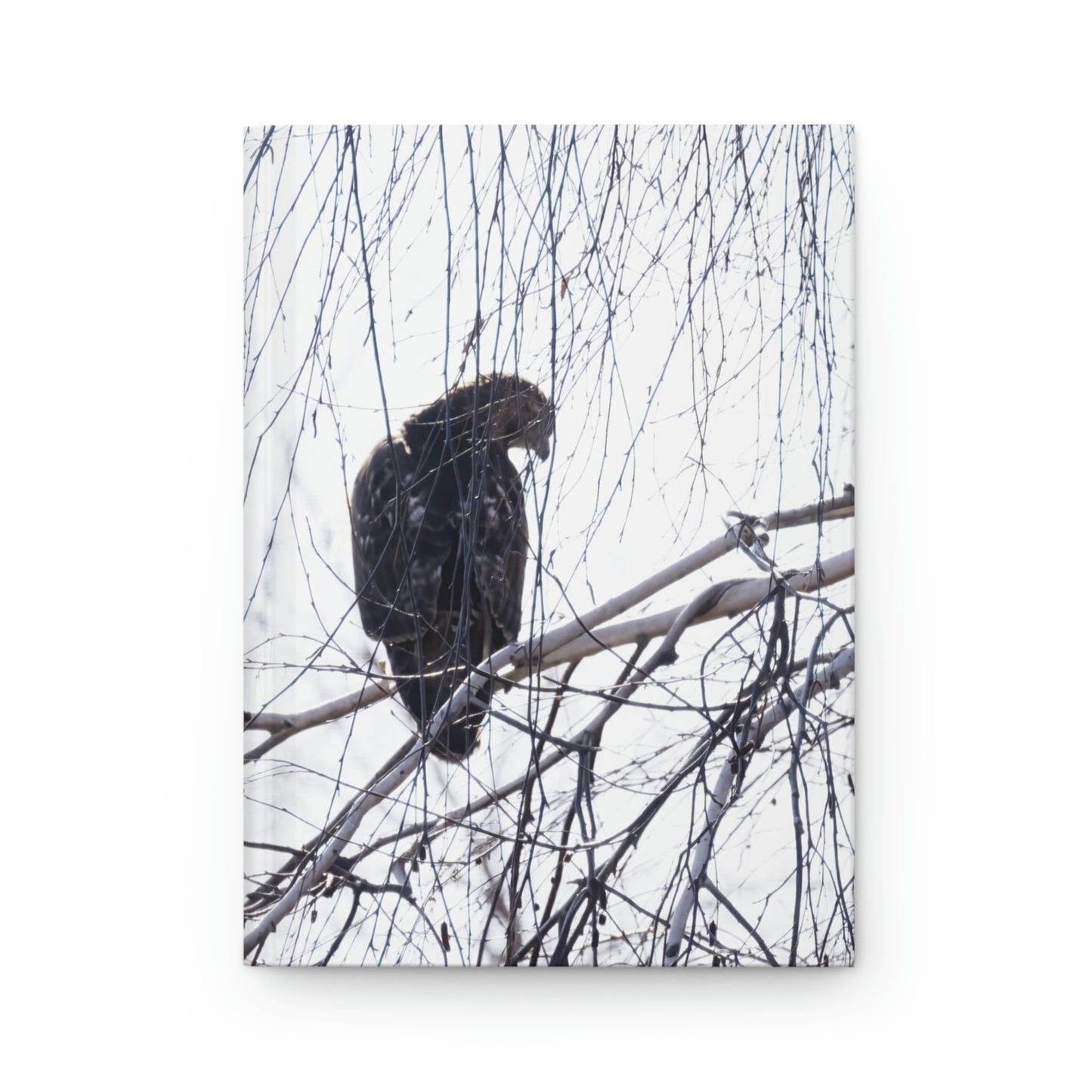 Zen Hawk Hardcover Journal Matte
