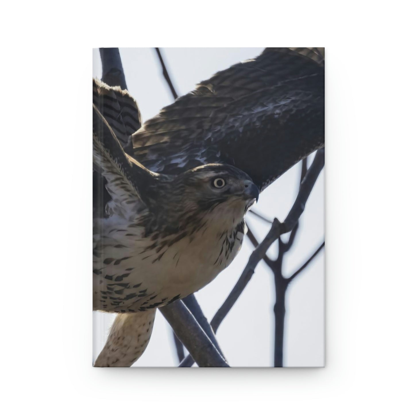 Hardcover Journal Matte