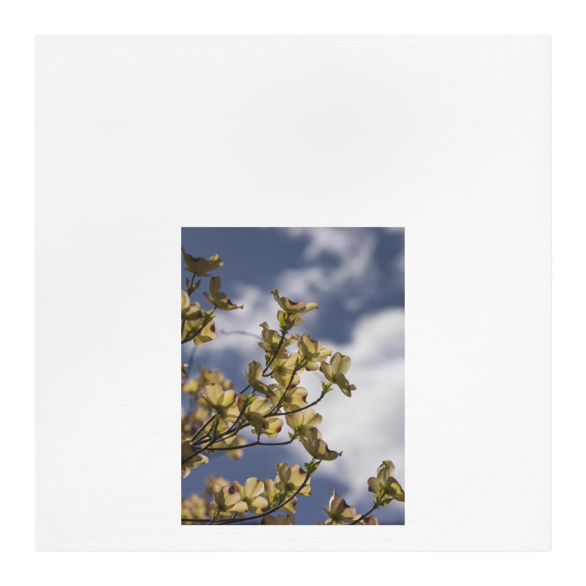 Spring Tree Tea Towel