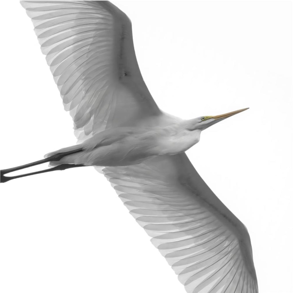 Elegant Egret Duvet Cover