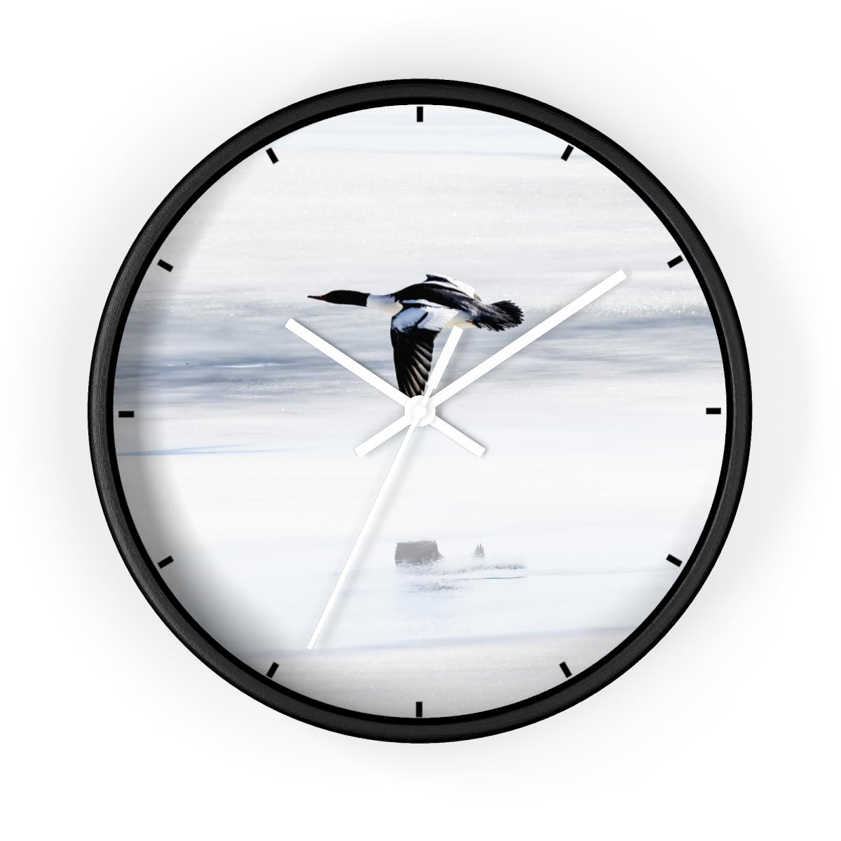 Merganser on Ice Wall clock