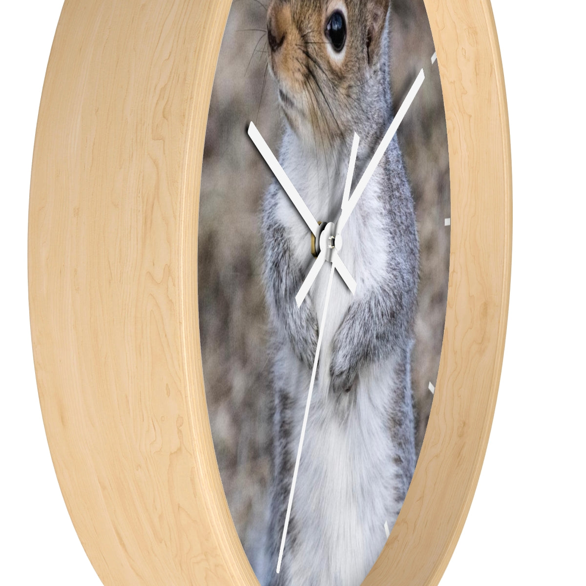 Squirrel Wall clock