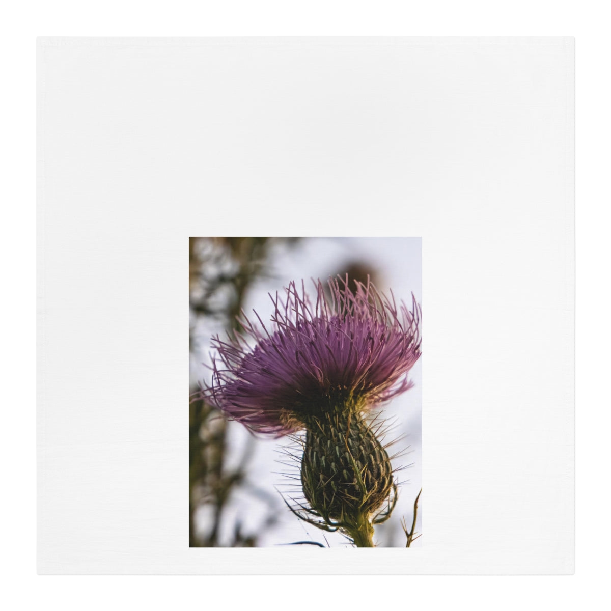 Thissell Be Noticed Kitchen/Tea Towel