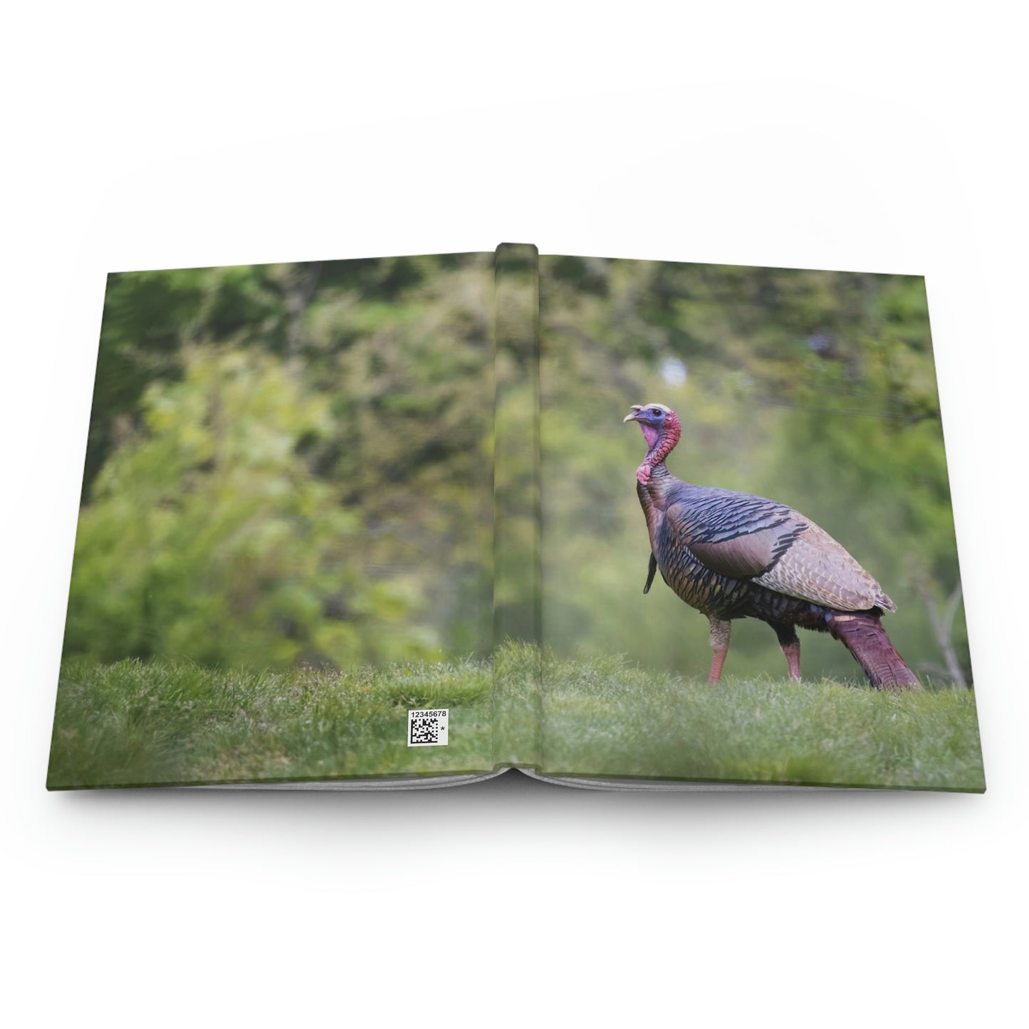 Wild Turkey Thanksgiving Journal
