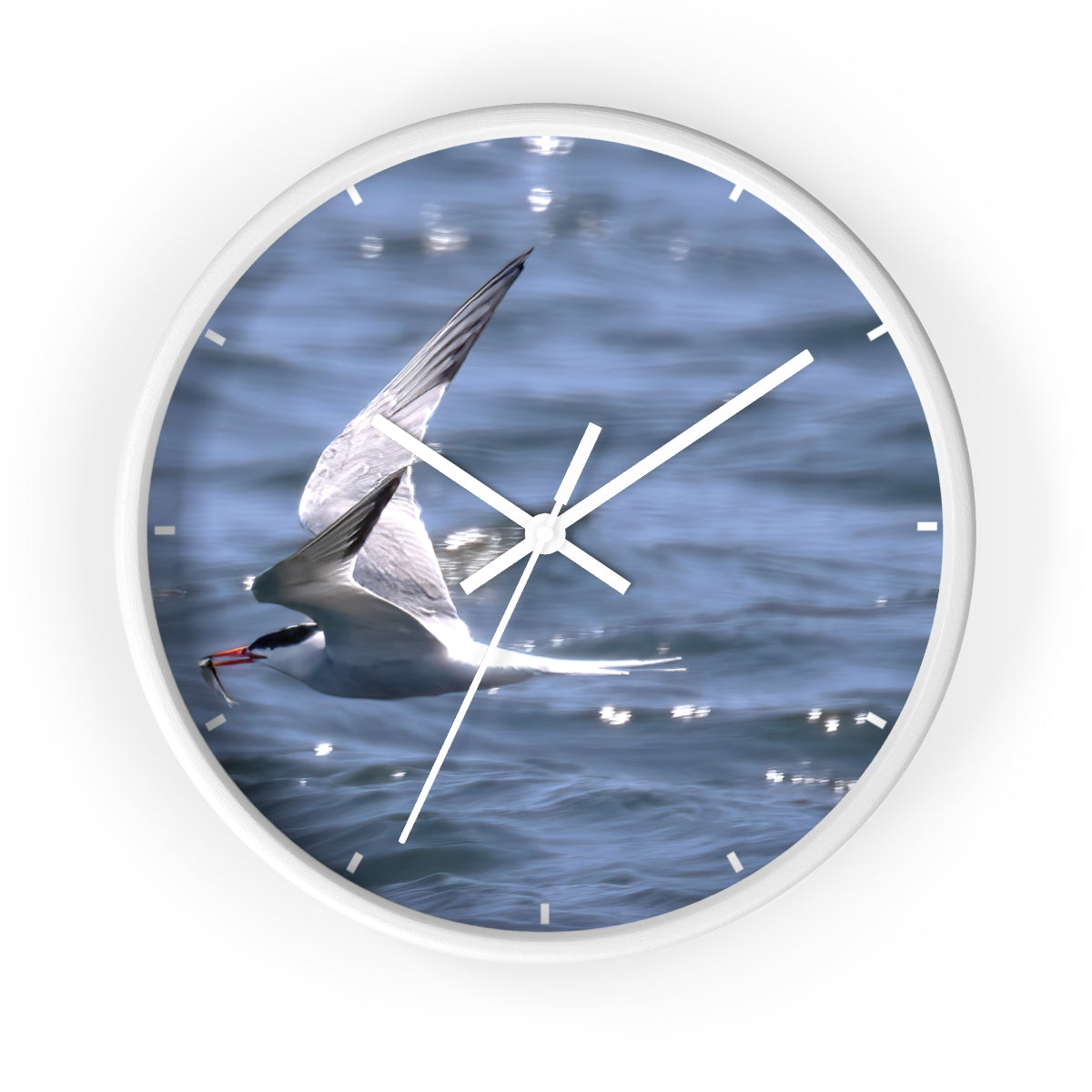 Tern with Lunch-in-Beak Wall clock