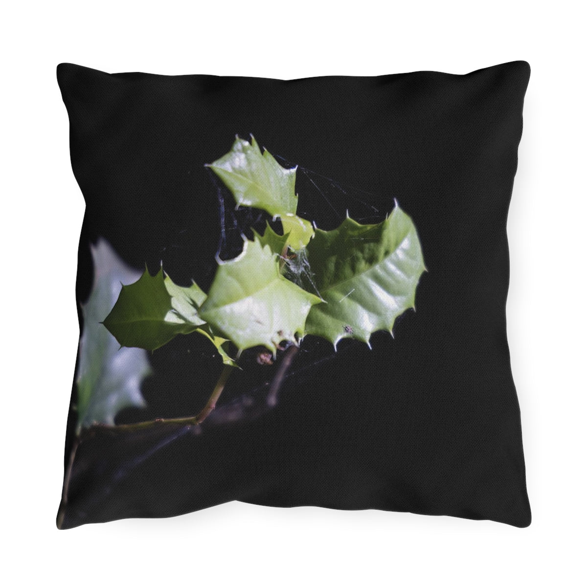 Wild Holly Outdoor Pillows