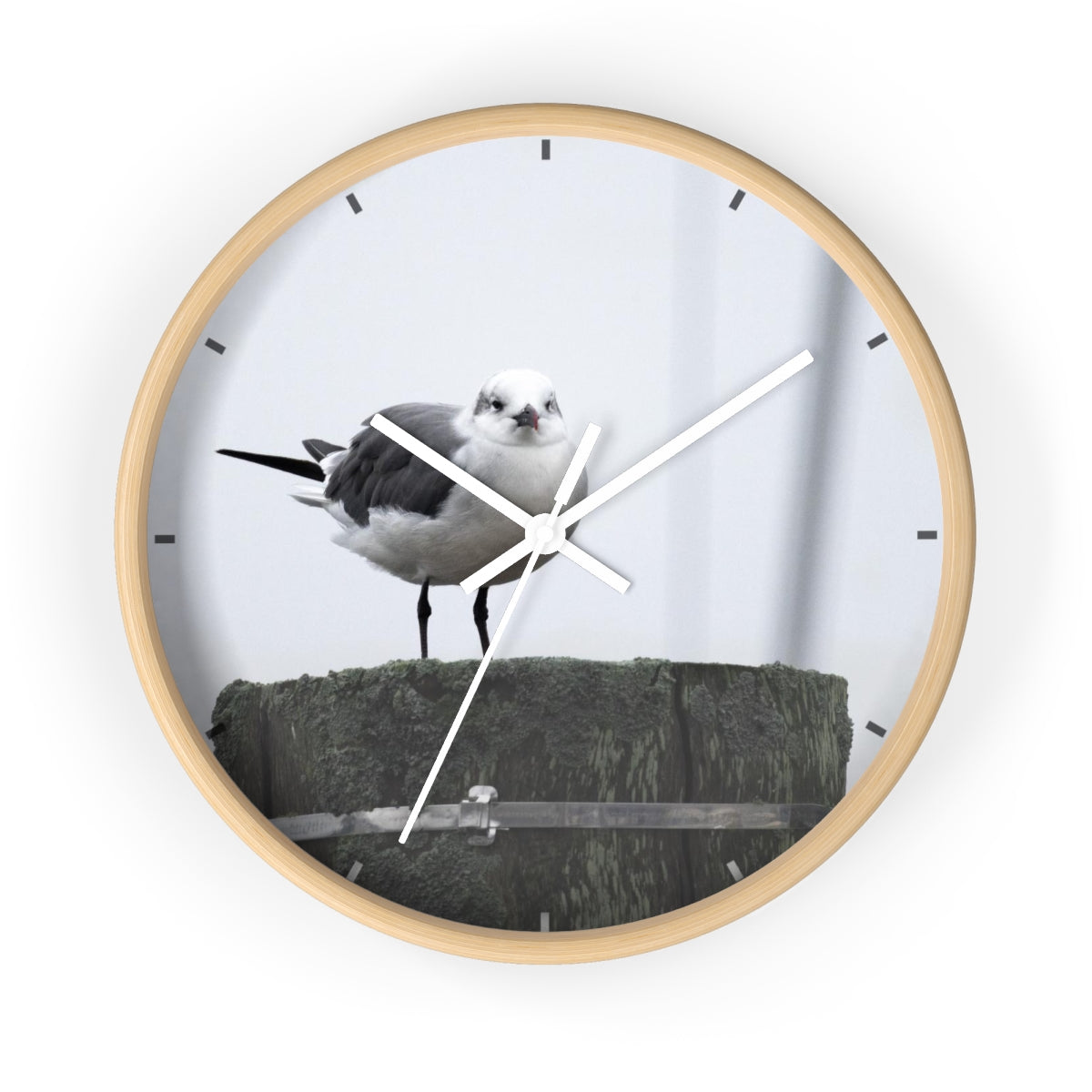 Gull on a Piling Wall clock