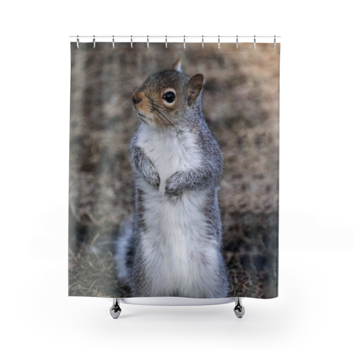 Squirrel Shower Curtain