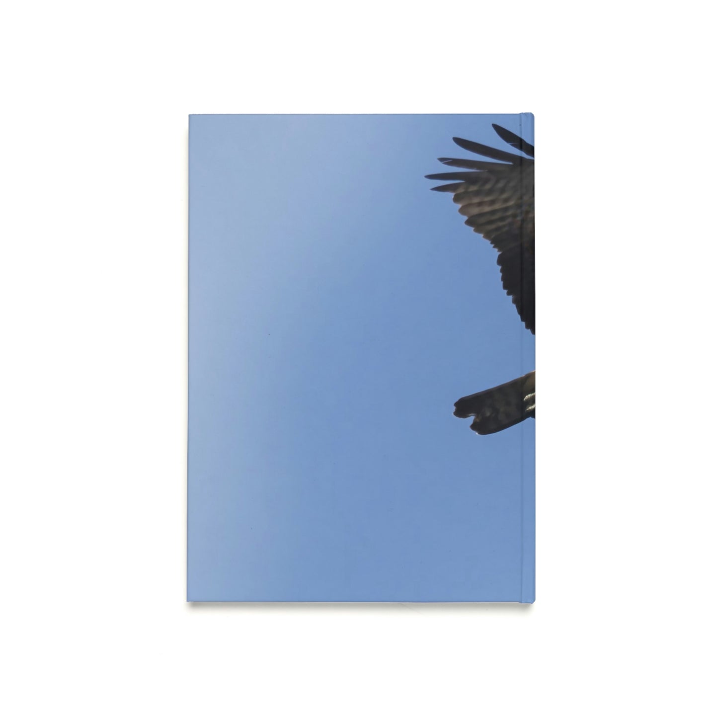 Osprey Hardcover Journal (A5)