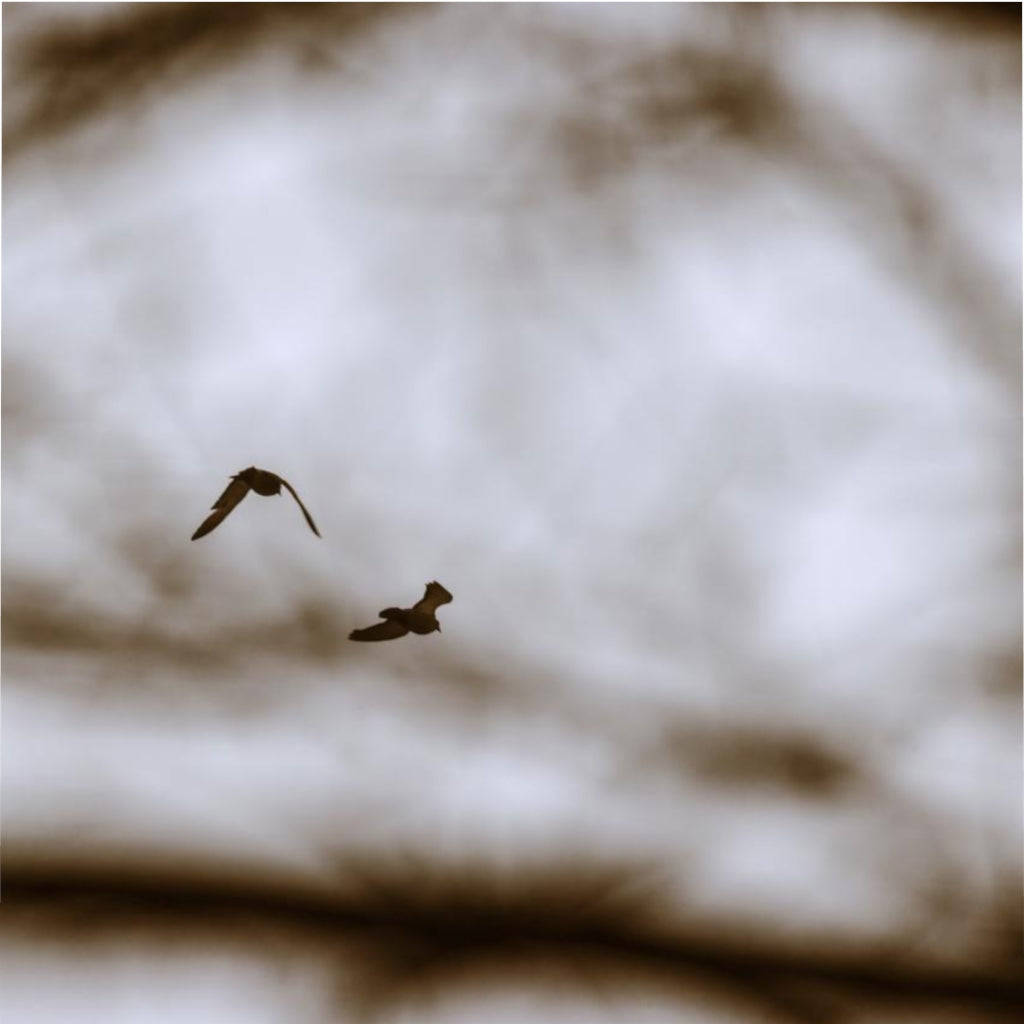 Moody  Browns Duvet Cover-Warm