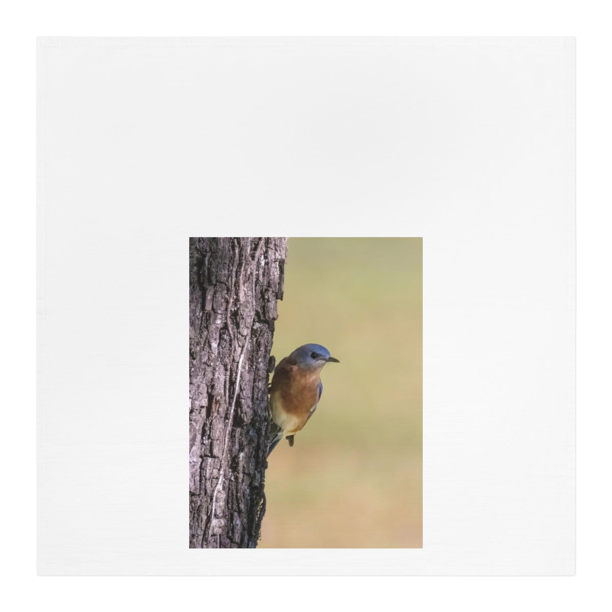 Bluebird of Happiness Kitchen/Tea Towel