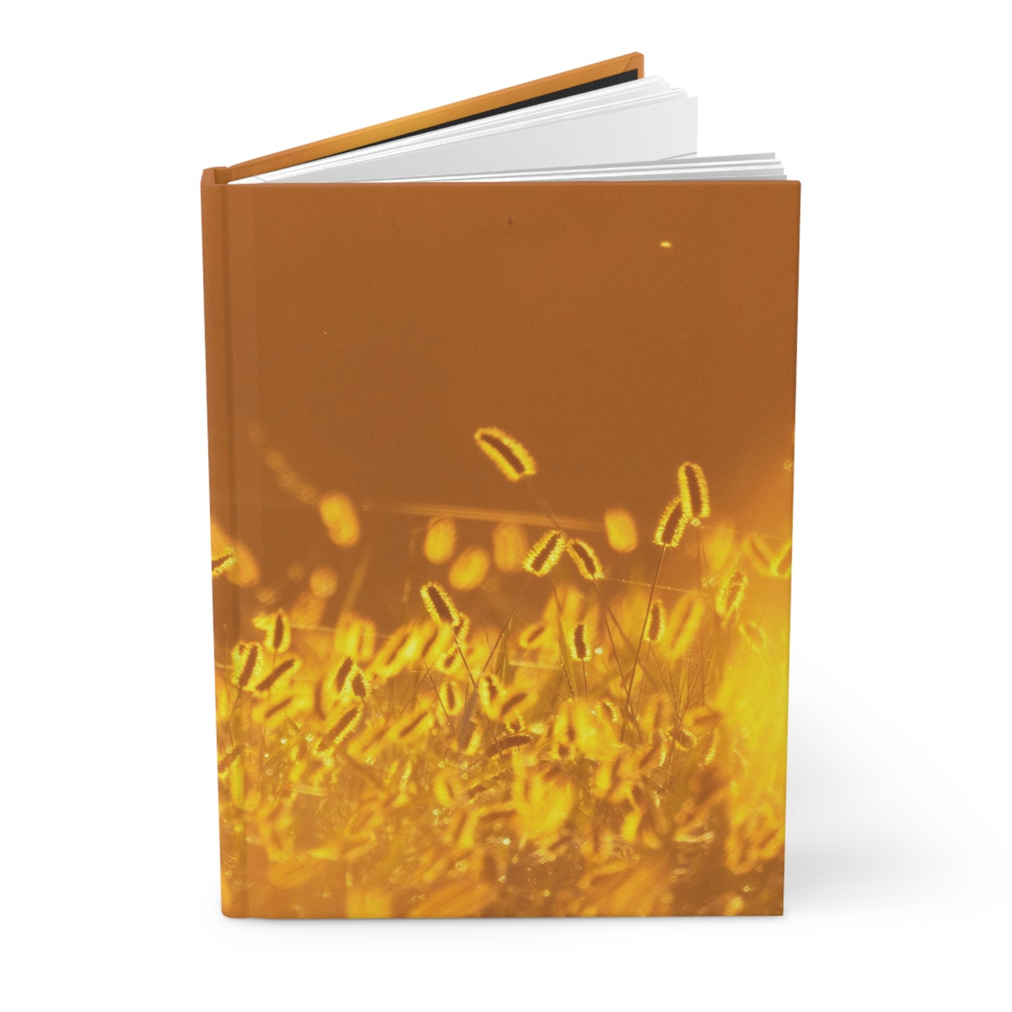 Sunlit Field Hardcover Journal Matte