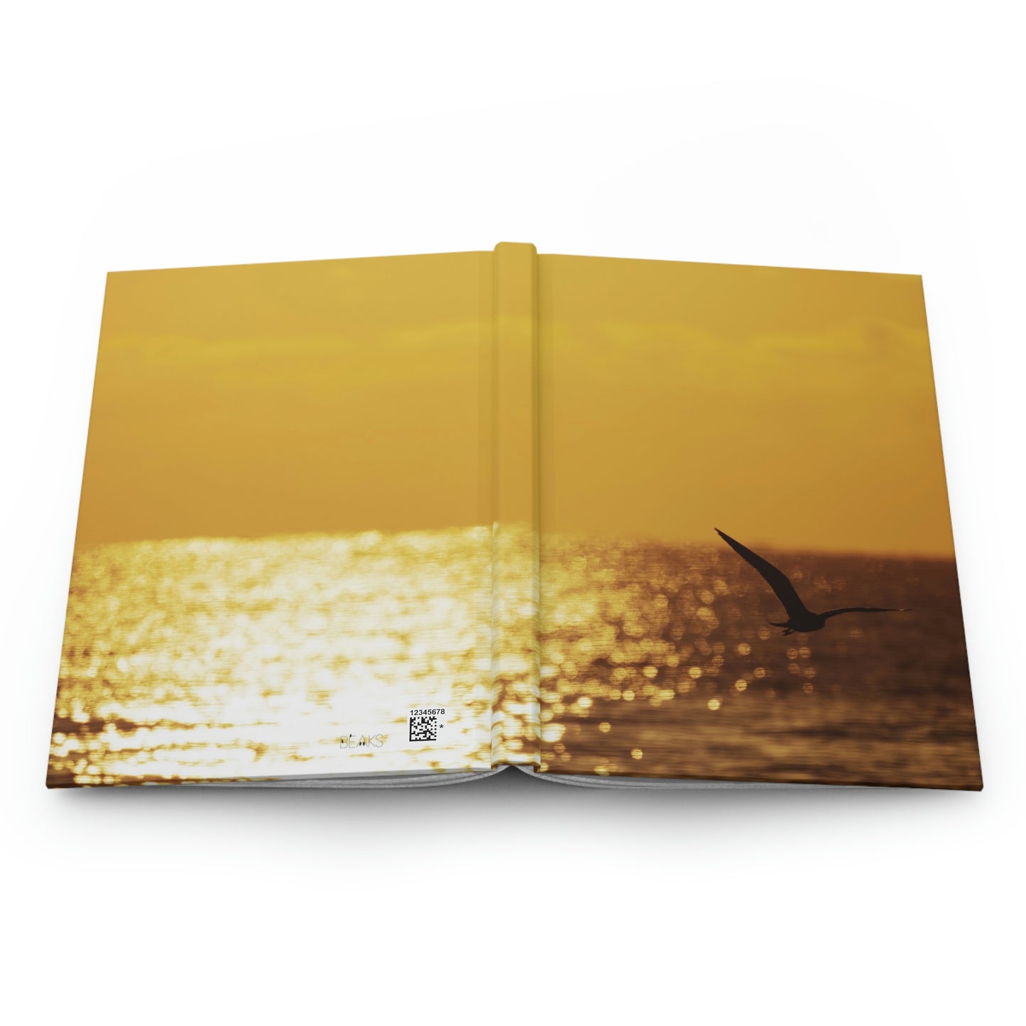 Florida Sunrise Journal-Matte