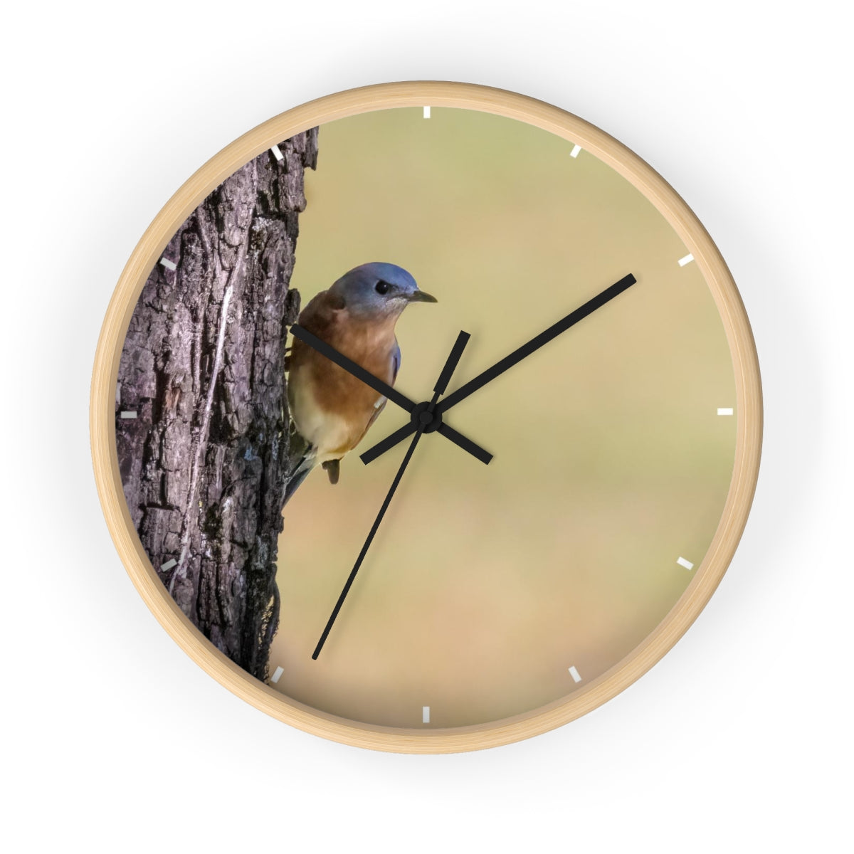 Bluebird of Happiness Wall clock