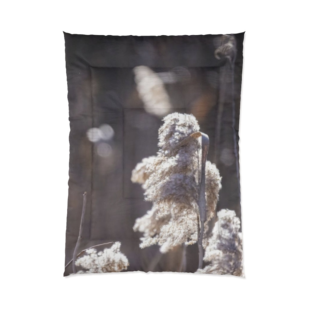 Schloofs Comforter
