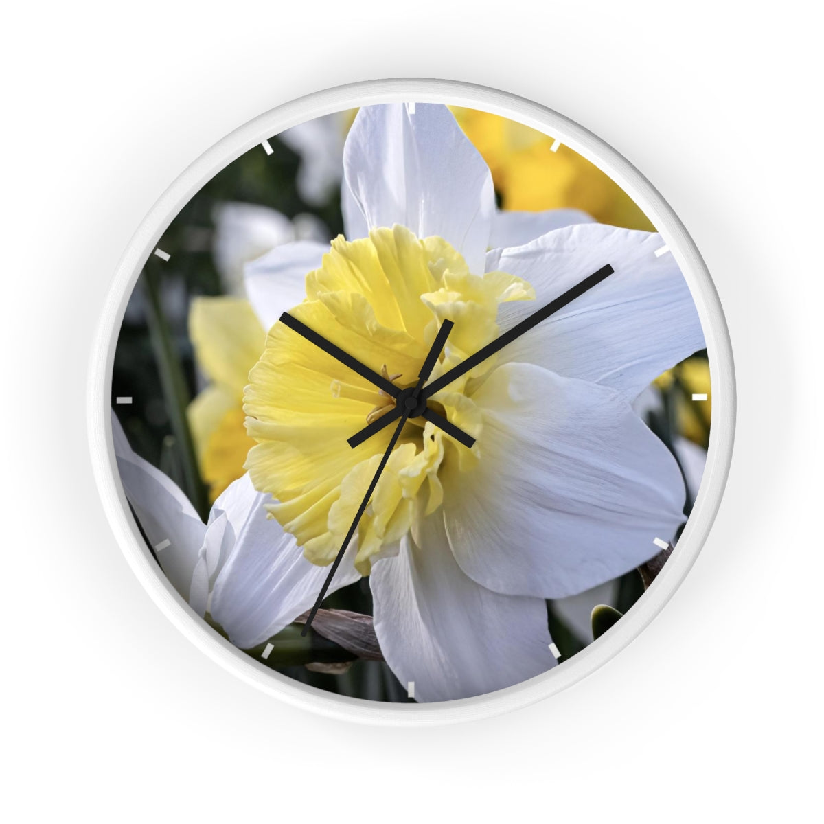 Daffodil Wall clock