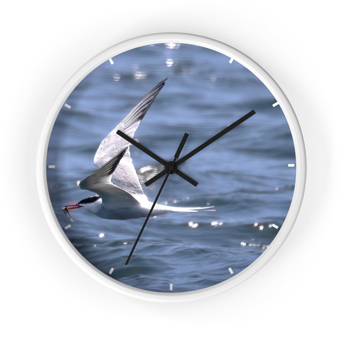 Tern with Lunch-in-Beak Wall clock