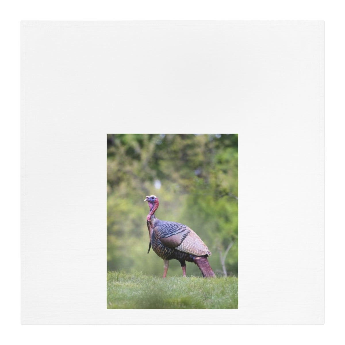 Wild Turkey Thanksgiving Kitchen/Tea Towel