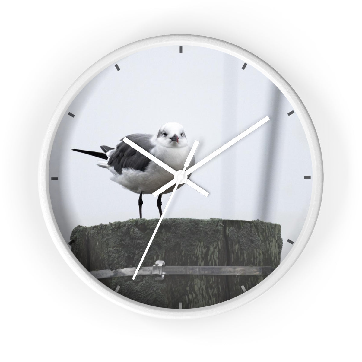 Gull on a Piling Wall clock