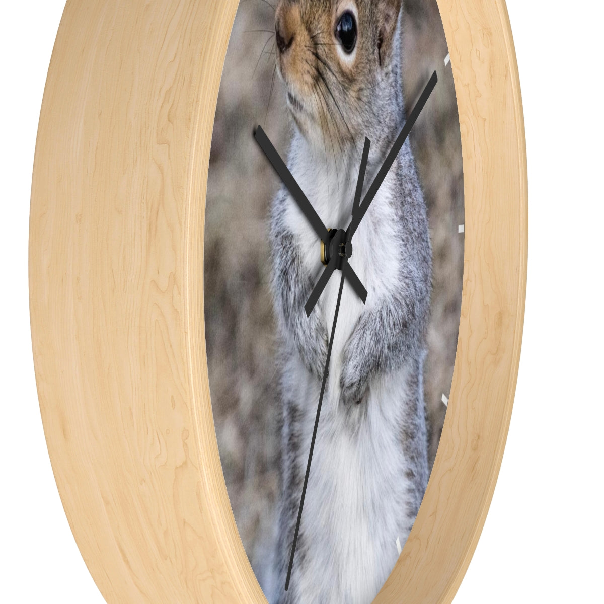 Squirrel Wall clock