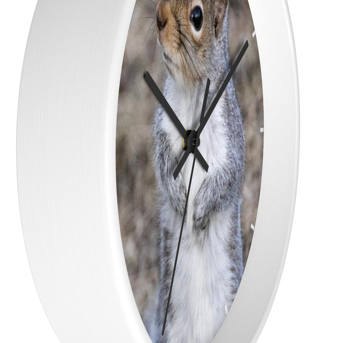 Squirrel Wall clock