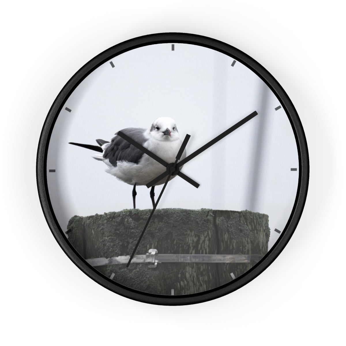 Gull on a Piling Wall clock