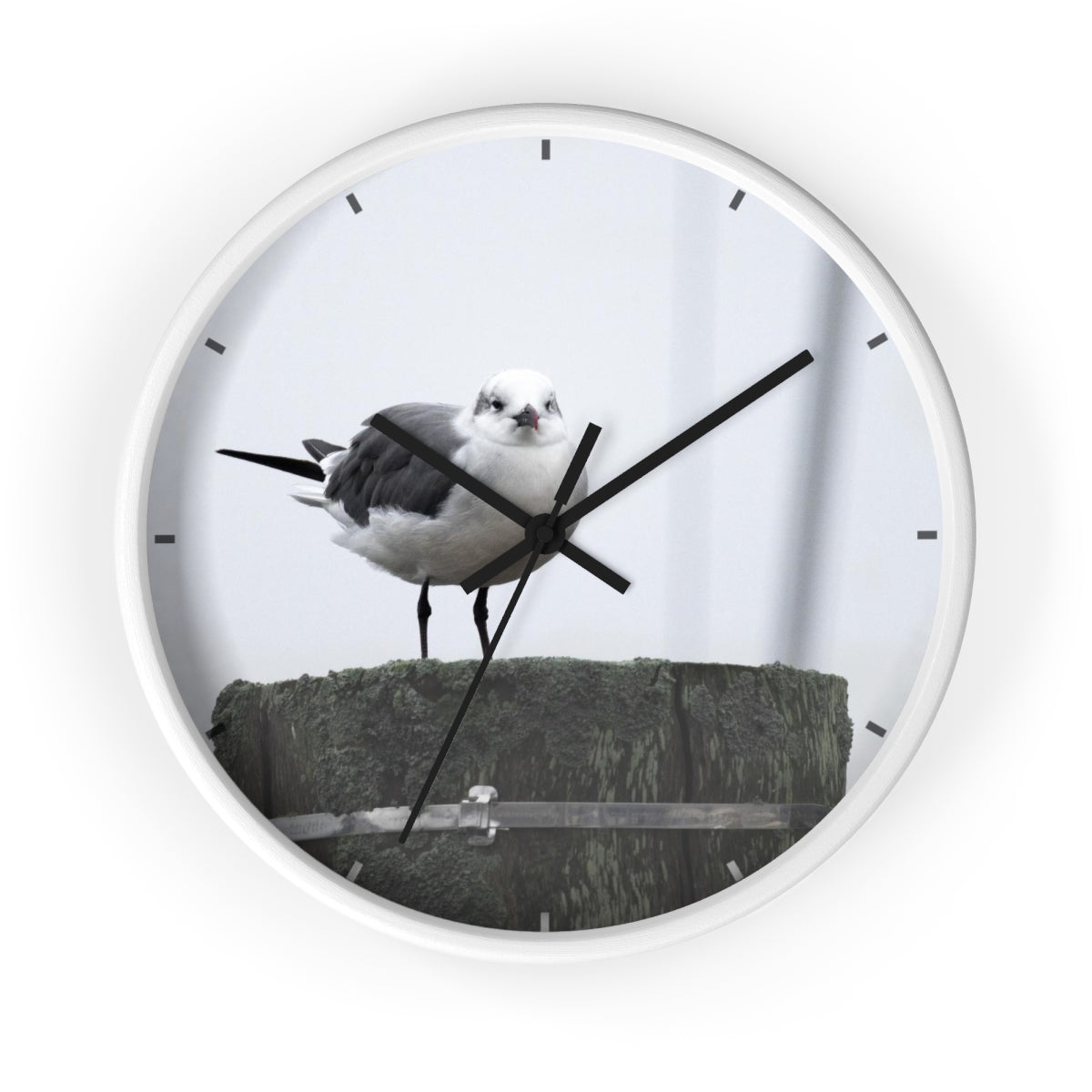 Gull on a Piling Wall clock