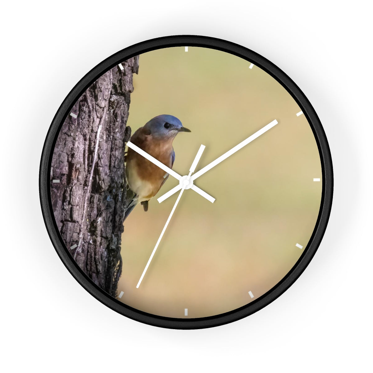 Bluebird of Happiness Wall clock