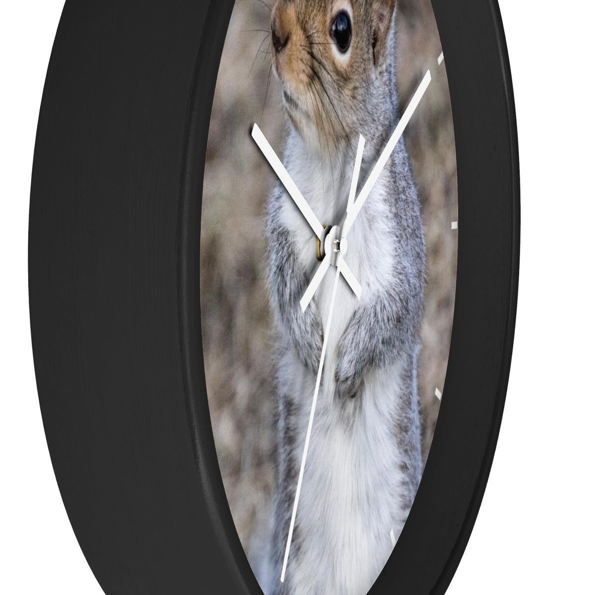 Squirrel Wall clock