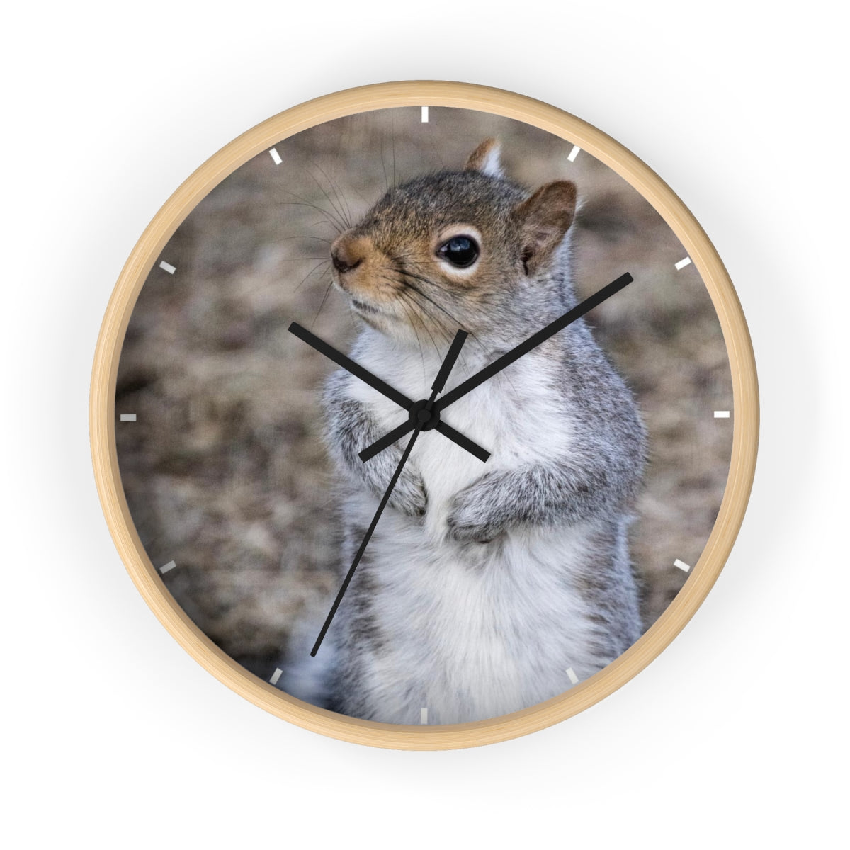 Squirrel Wall clock