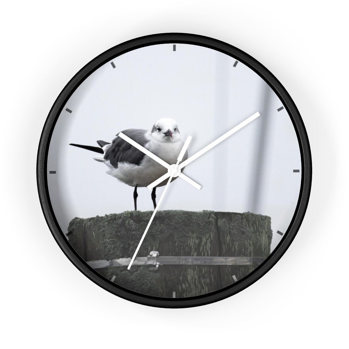 Gull on a Piling Wall clock