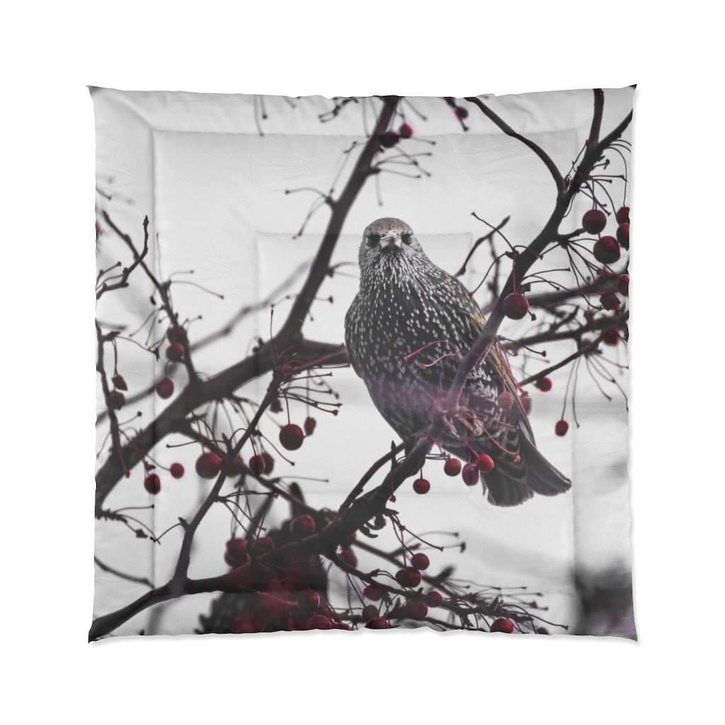 Startling Starling Comforter