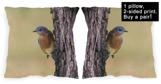 Bluebird of Happiness Outdoor Pillow