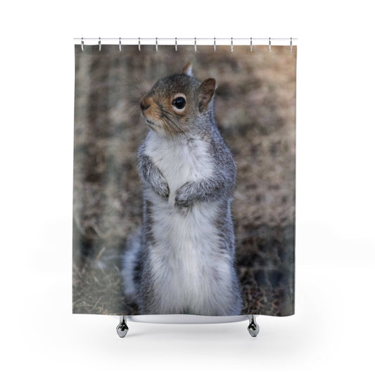 Squirrel Shower Curtain