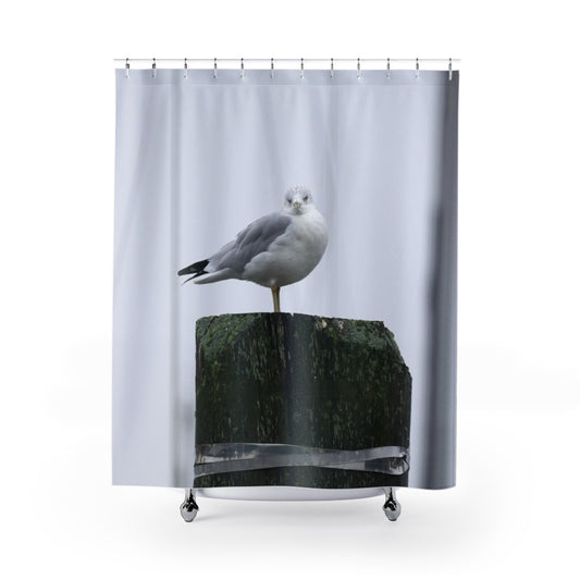 Gull on a Piling Shower Curtain