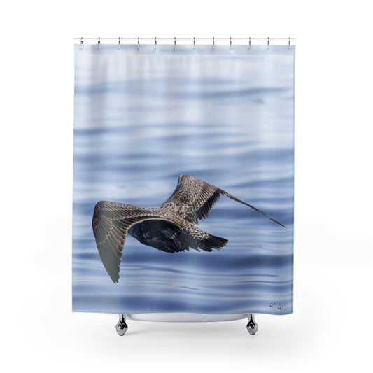 Gliding Gull Shower Curtain